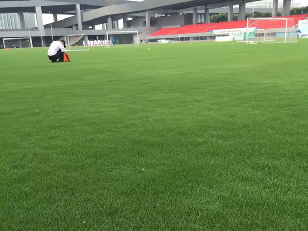 1632721050564029.jpg 0046884e69e5cf7aa3a62662a9c4f3f7_1527042148853482.jpg