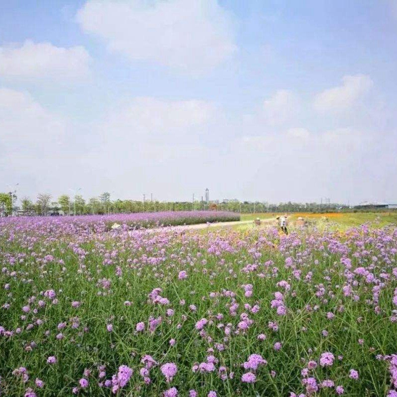 1632748724594878.jpg dcb63de1fbf280682cbc00504e95cdd1_1593959762254702.jpg