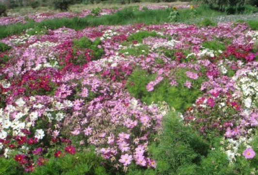 1632823384178001.jpg image.jpg