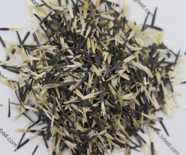 1632829986226081.jpg image.jpg