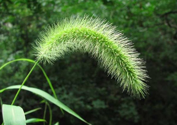 1632834731969334.jpg 1632834731969334.jpg