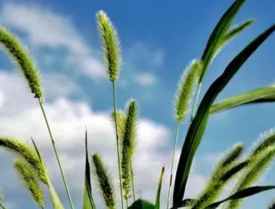 1632834744982214.jpg 1632834744982214.jpg