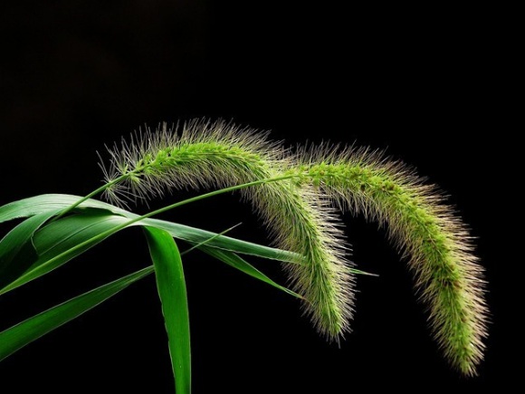 1632834766880354.jpg 1632834766880354.jpg