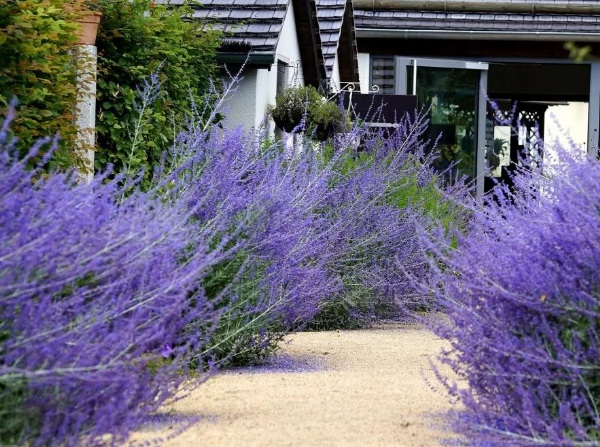 1632836645821292.jpg image.jpg