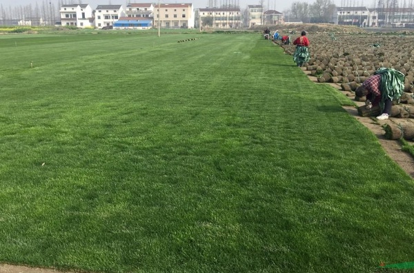 1632875207631463.jpg image.jpg