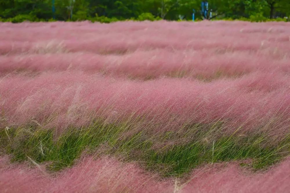 1632882087608334.jpeg 1632882087608334.jpeg