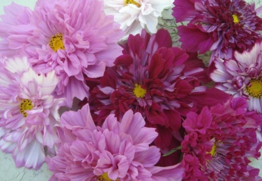 1632904021170003.jpg image.jpg