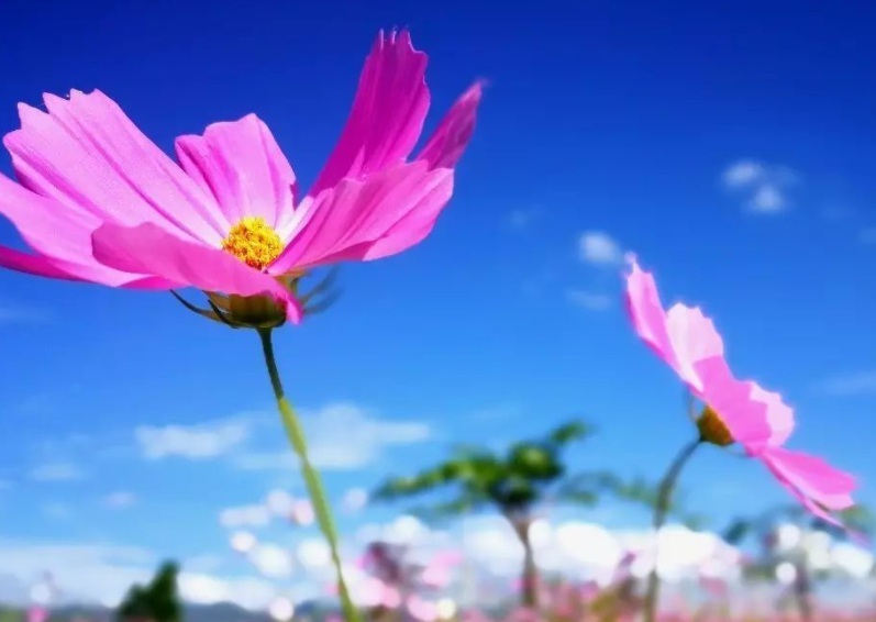 1632906059289159.jpg 1632906059289159.jpg