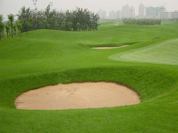 剪股穎草坪它的優(yōu)缺點都有哪些 剪股穎草坪它的優(yōu)缺點都有哪些