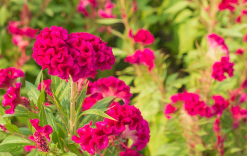 1632926442106102.jpg 1632926442106102.jpg