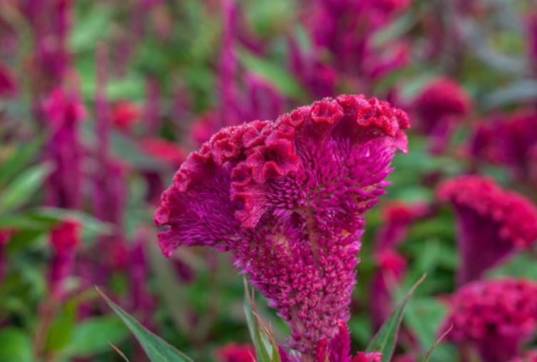 1632926480839749.jpg 1632926480839749.jpg