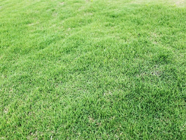 1632963015115979.jpg image.jpg