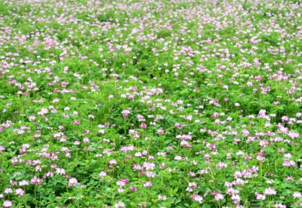 1632963322746203.jpg image.jpg