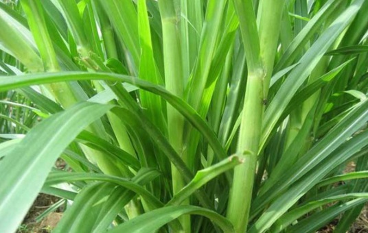 1632974927100261.jpg image.jpg