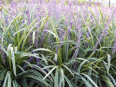 1632988288252399.jpg 1632988288252399.jpg