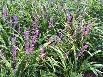 1632988329158861.jpg 1632988329158861.jpg