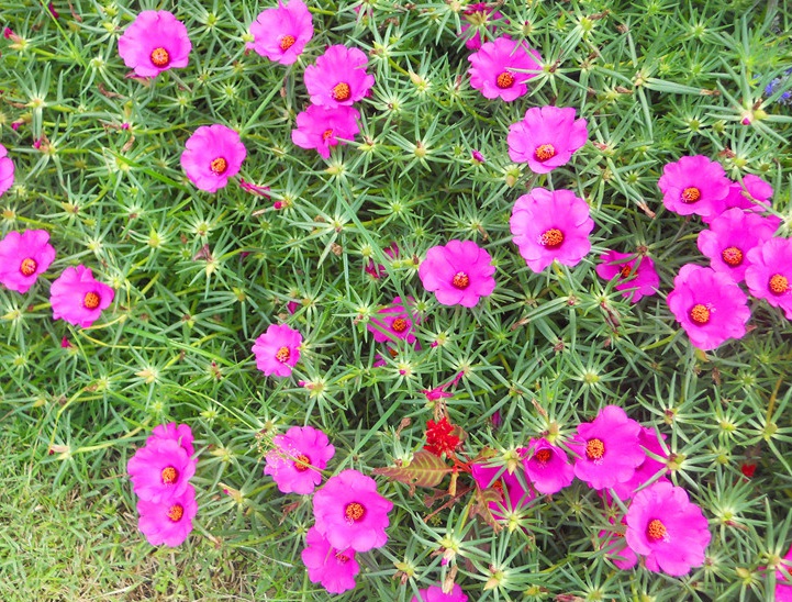 1632998083156773.jpg image.jpg