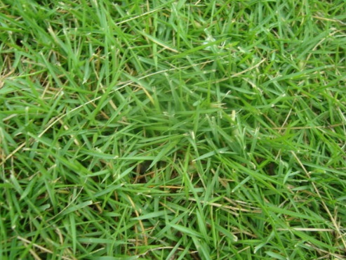 1633661287913660.jpg image.jpg