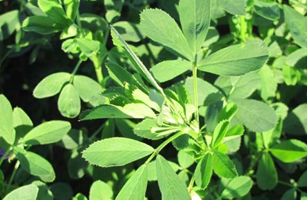 1633661472707054.jpg image.jpg