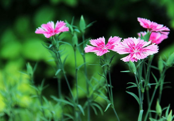 1633762791730387.jpg image.jpg