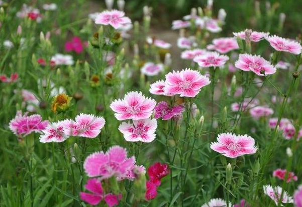 1633762803777119.jpg image.jpg