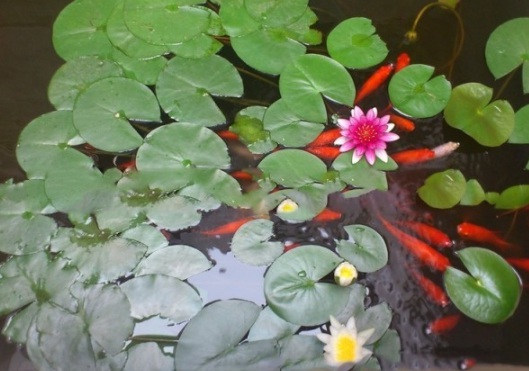 1634108592434823.jpg image.jpg