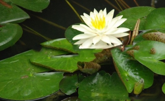 1634108599626541.jpg image.jpg