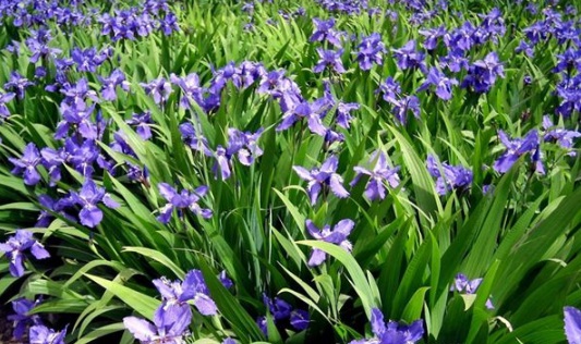 1634109356183287.jpg image.jpg