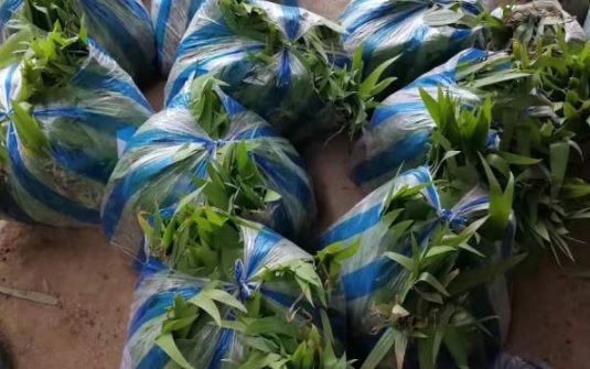 1634109365136082.jpg image.jpg