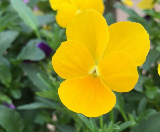 1634109767917641.jpg image.jpg