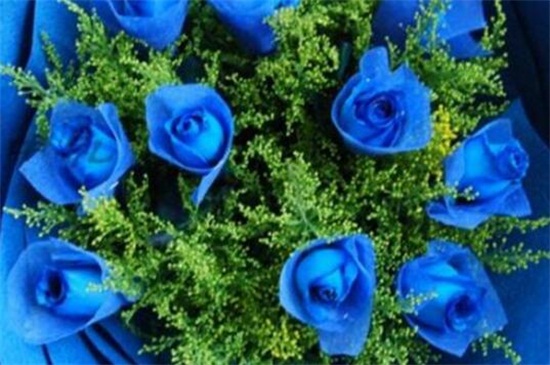 1613714132241309.jpg 1613714132241309.jpg