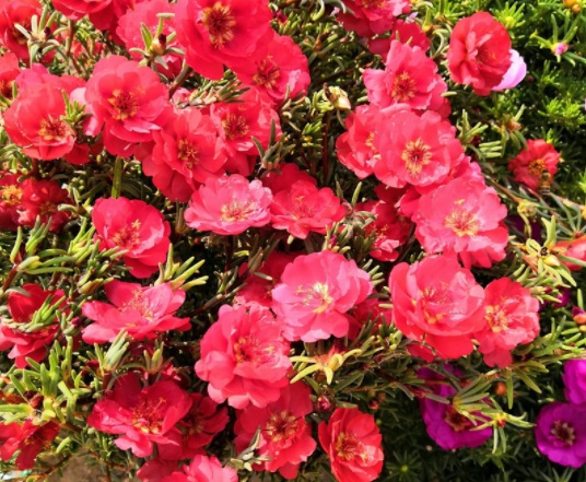 1634192707671118.jpg image.jpg