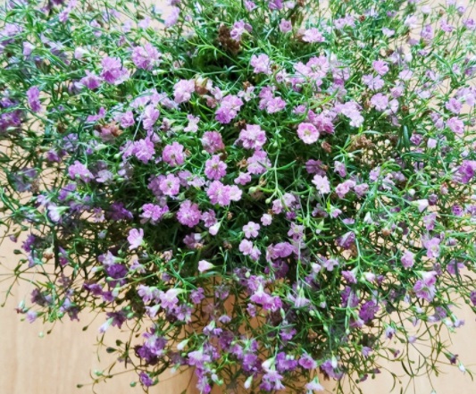 1634194683447681.jpg image.jpg