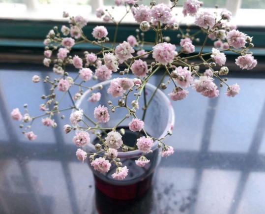 1634194706668001.jpg image.jpg