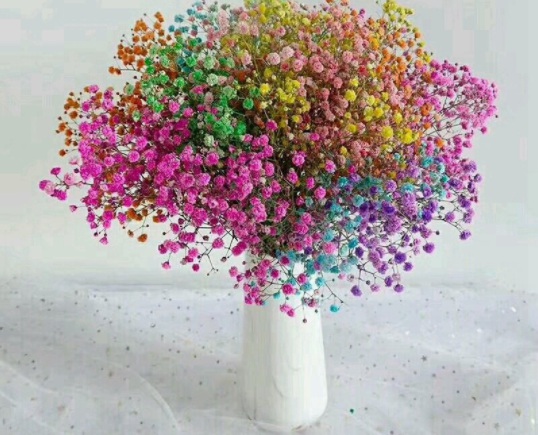 1634194732313950.jpg image.jpg