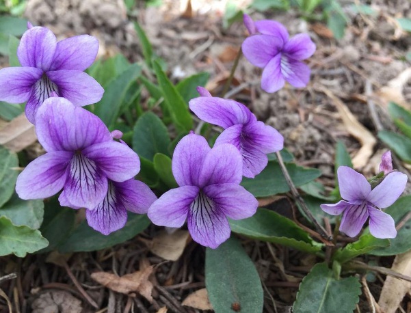 1634347933582247.jpg image.jpg