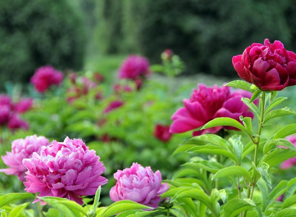 1634356787761340.jpg image.jpg