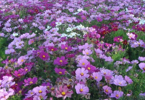 1634464859684550.jpg 圖片.jpg