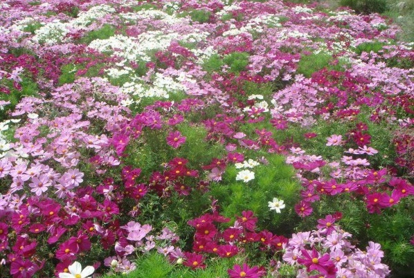 1634465935408224.jpg 圖片.jpg