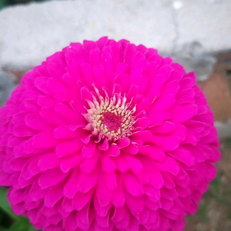 1634561151994905.jpg 5223bc41ad0c71736afb0bddd259ee72_1587632715229555.jpg