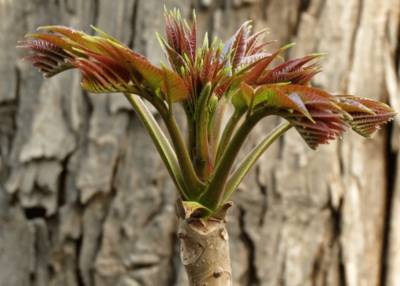 1634724913548459.jpg 1634724913548459.jpg