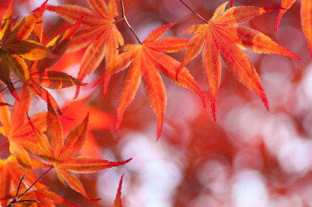 1634725319851678.jpg 1634725319851678.jpg