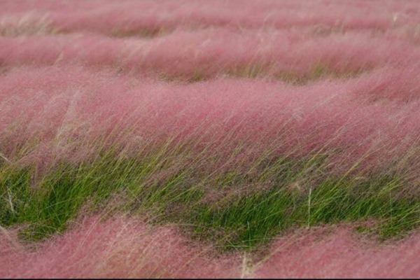 1634748971644086.jpg ea46c5a72dbf1316ee8548c5d3d3971d_1573886393372678.jpg