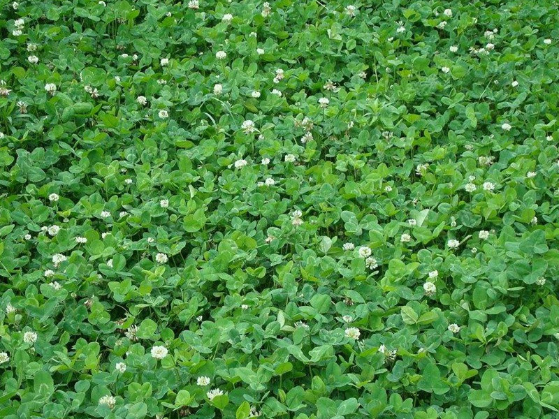 1634773222357592.jpg e5fc2c2467b611a58a0ee547d8da6148_1591068333750069.jpg