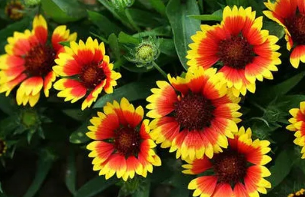 1634778037904990.jpg image.jpg