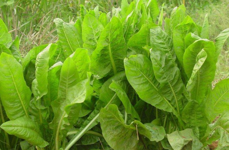 1634799670538714.jpg 1634799670538714.jpg