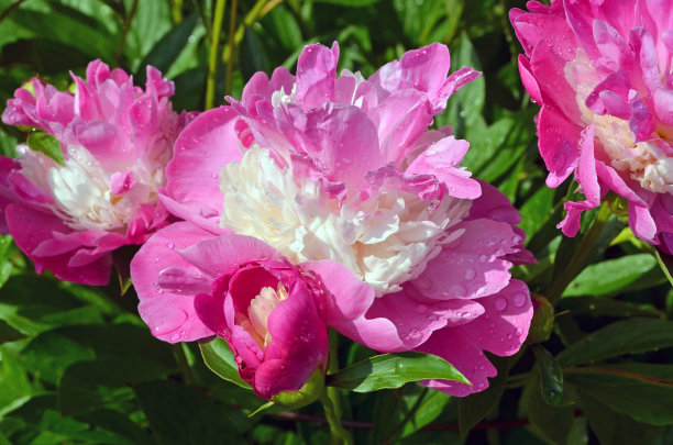 1634987323992845.jpg 1634987323992845.jpg