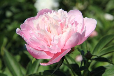 1634987491502158.jpg 1634987491502158.jpg