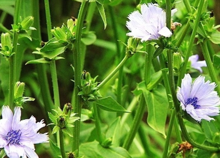 1635087440903278.jpg 1635087440903278.jpg