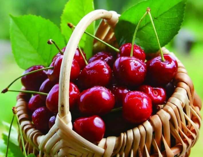 1635176393880596.jpg 1635176393880596.jpg